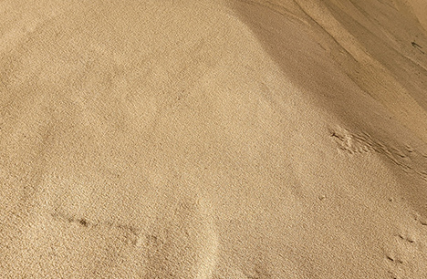 Powder Sample